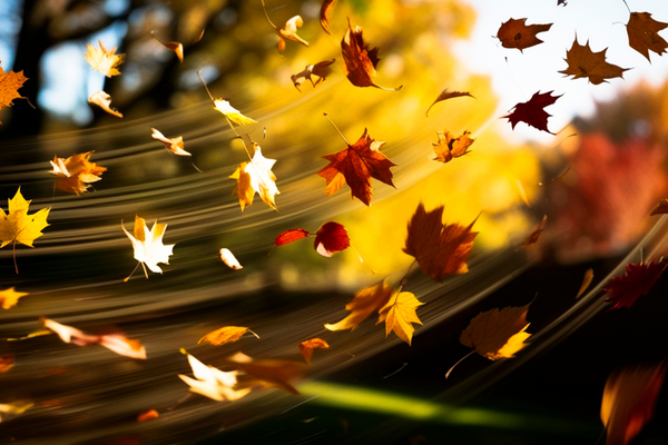 Kriz Dönemlerinde Şirketler Neden Yanlış Küçülür?