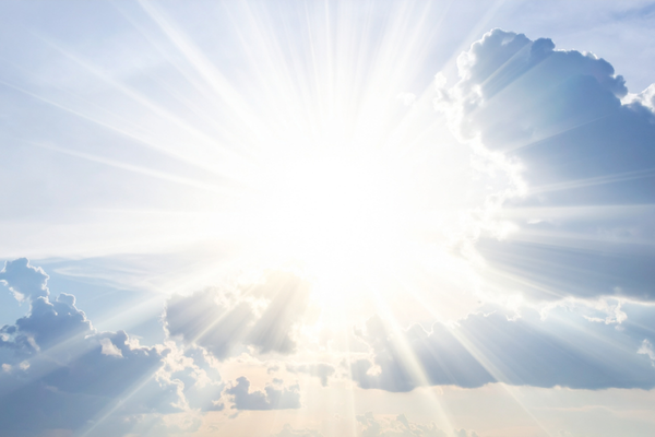 Kurumsal Dünyada Performansın Yeni Paradigması: